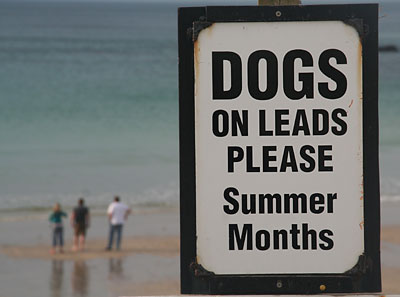 dogs on leads
